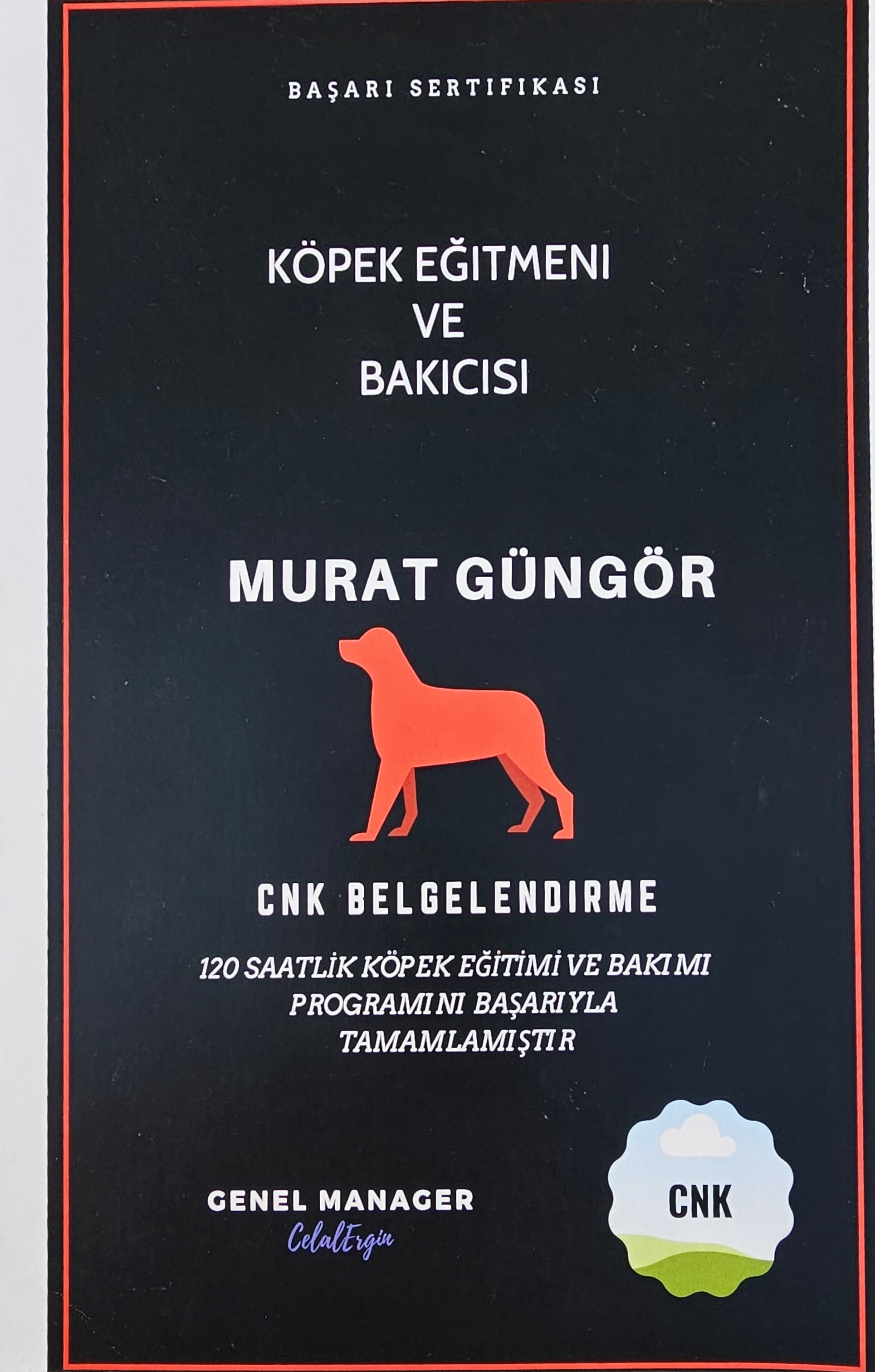 CNK Murat Güngör Köpek Eğitmeni ve Bakıcısı Sertifikası