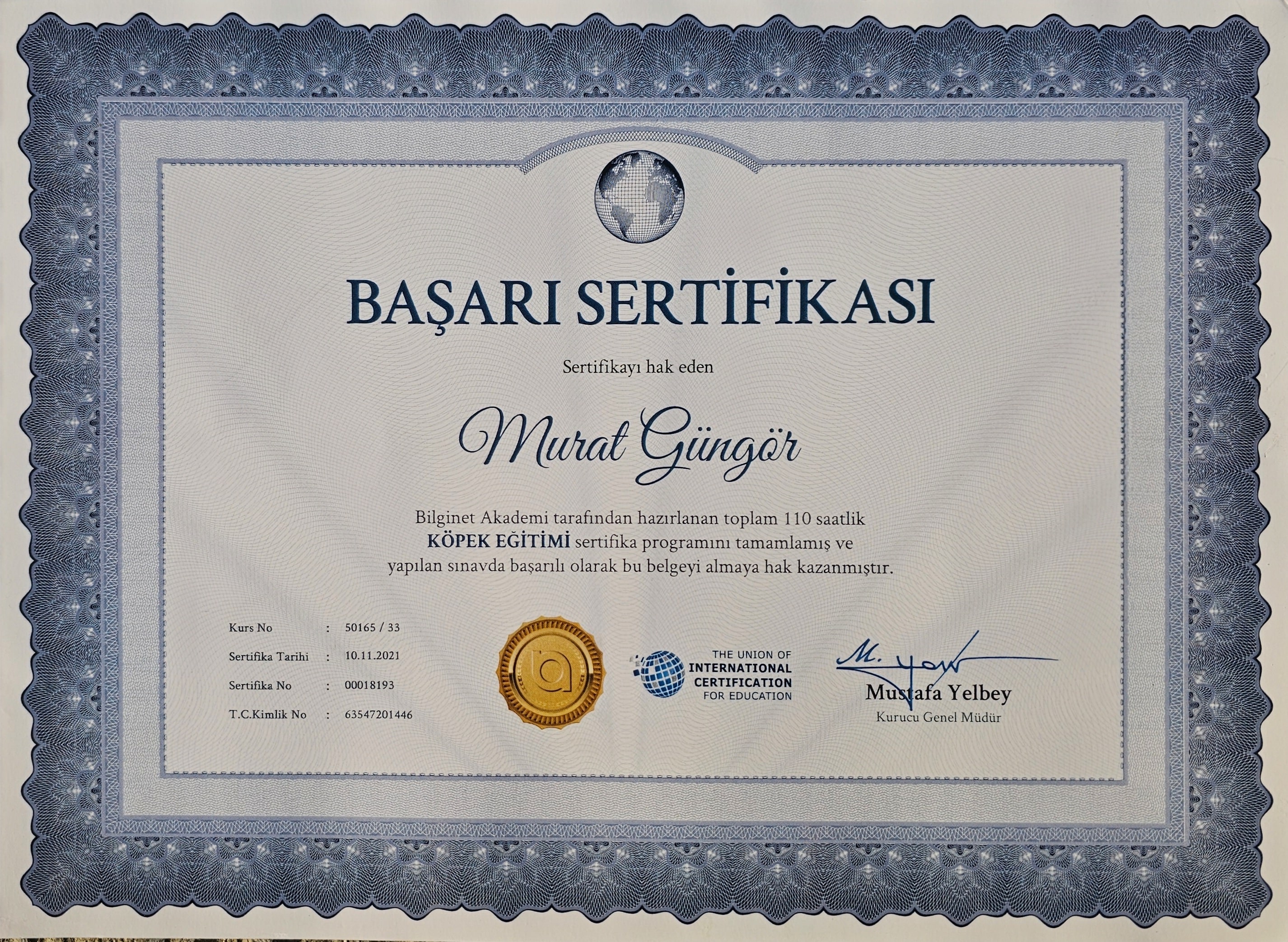 Bilginet Akademi Murat Güngör Başarı Sertifikası
