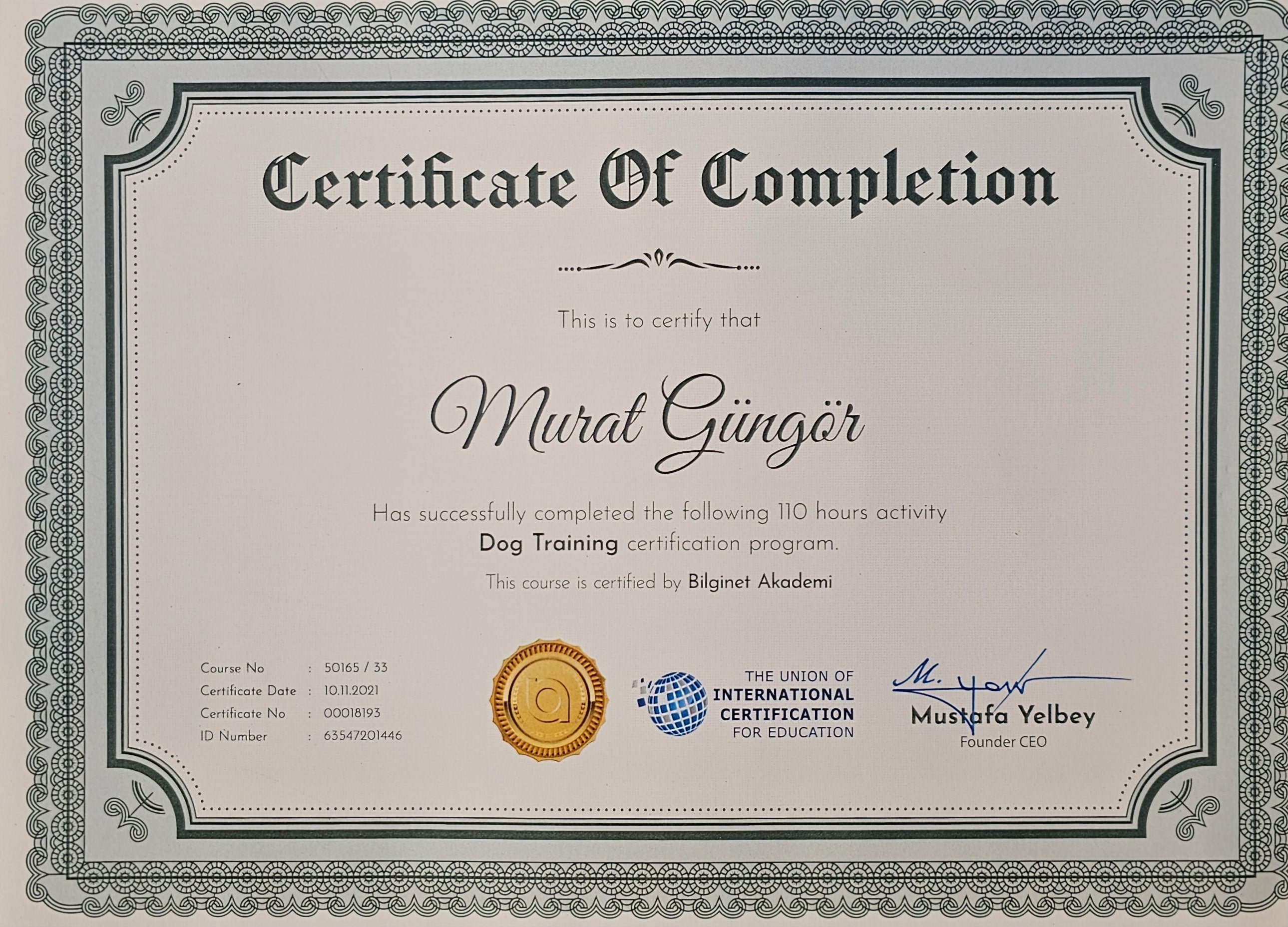 Murat Güngör International Dog Training Certificate of Completion
