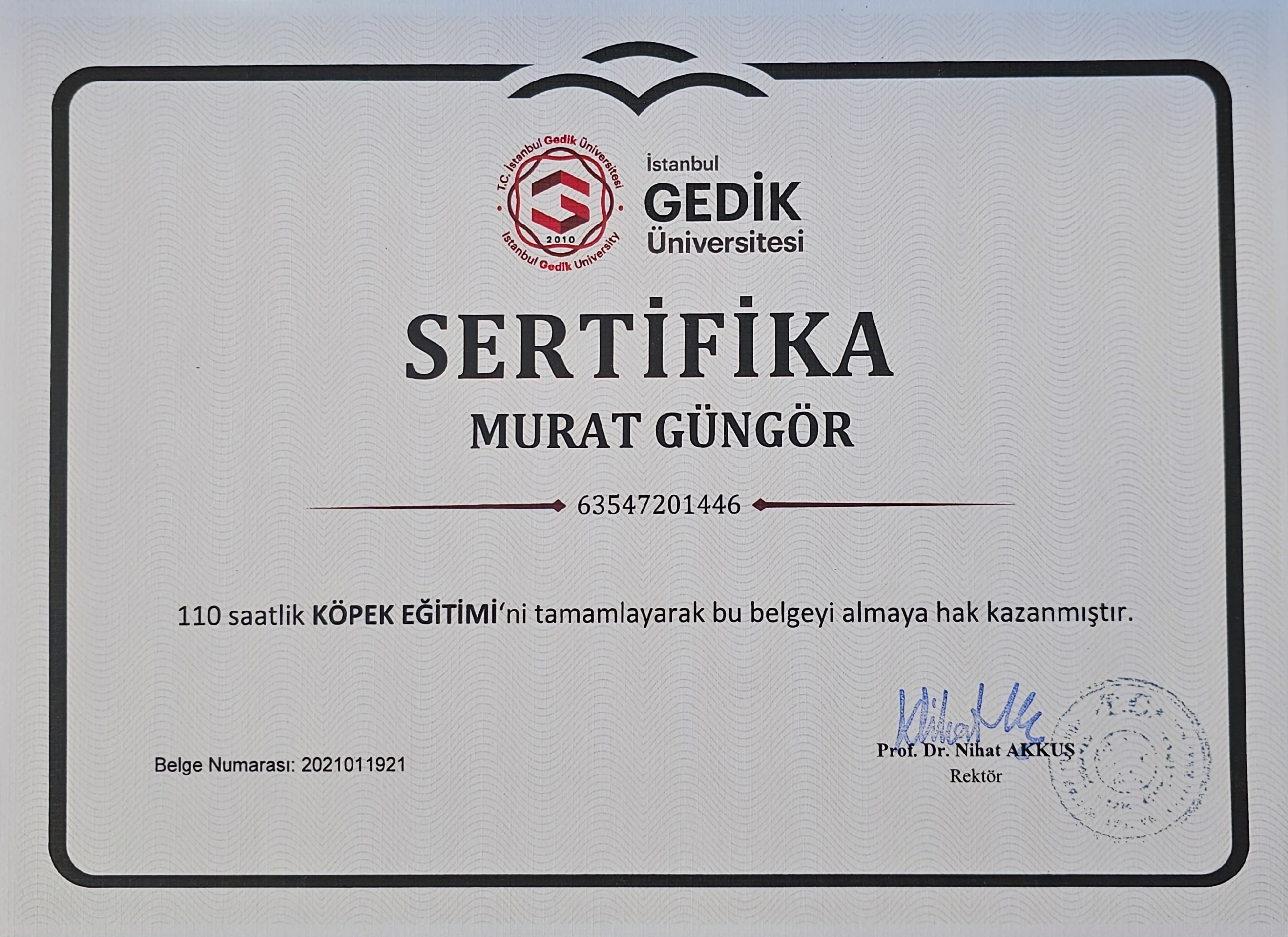 İstanbul Gedik Üniversitesi Murat Güngör Köpek Eğitimi Sertifikası