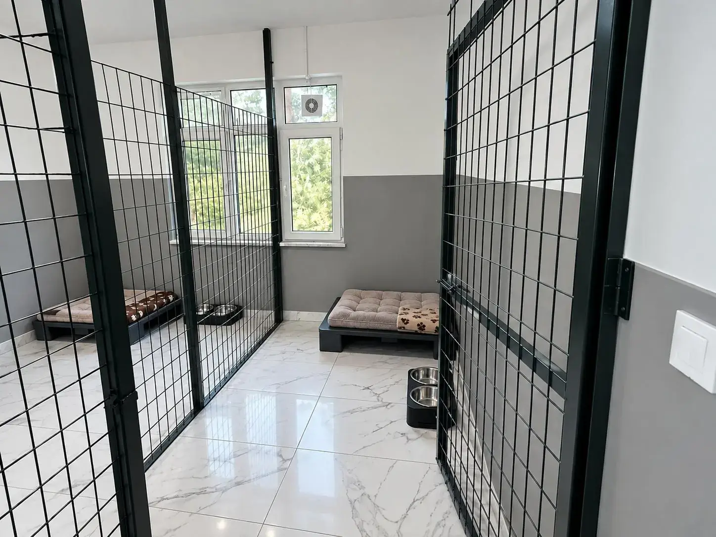 Temiz ve kontrollü köpek konaklama odası