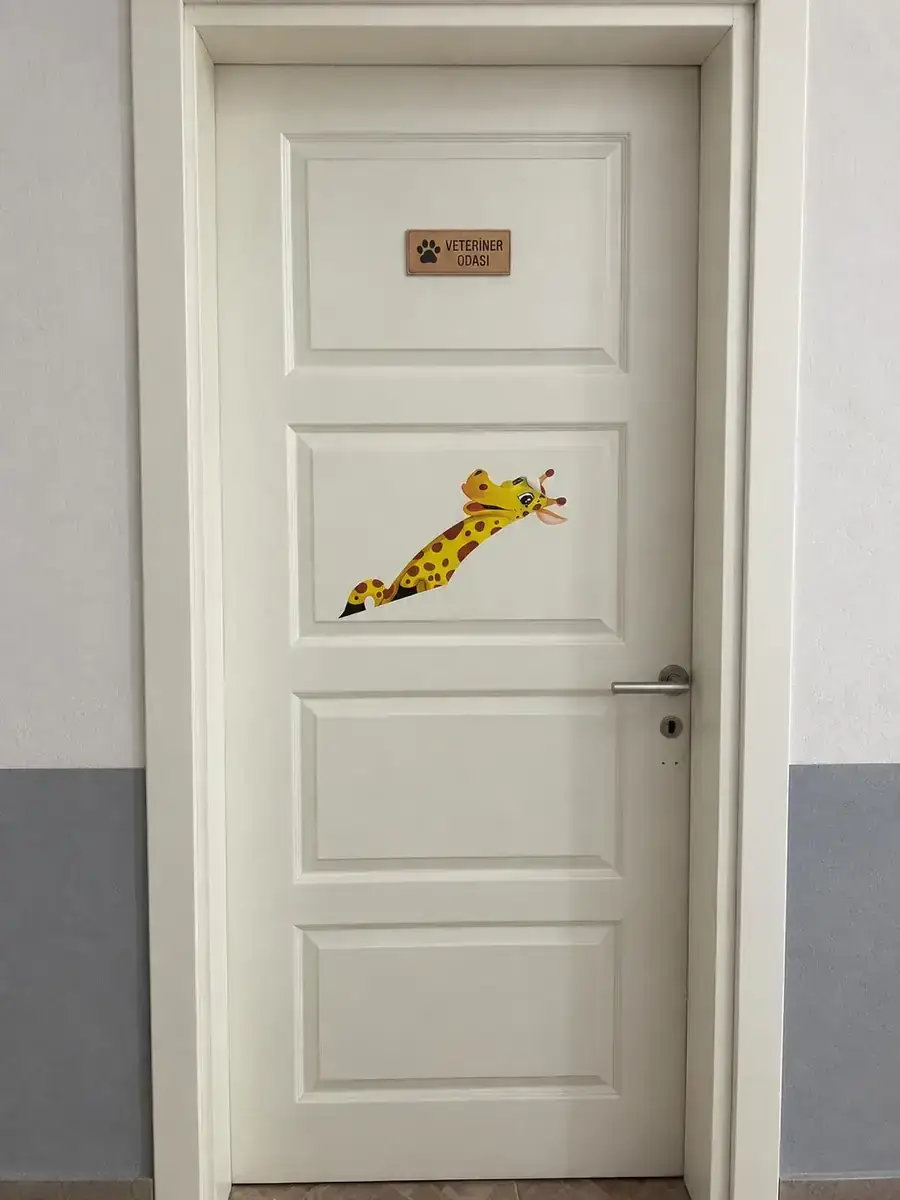 Tesis veteriner odası